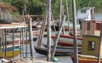 Local Fishing Boats