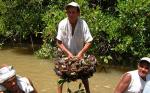 The Local People