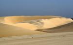 The Endless Dunes