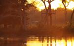 Morning at the riverside