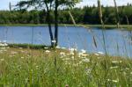 Down at the Lakeside